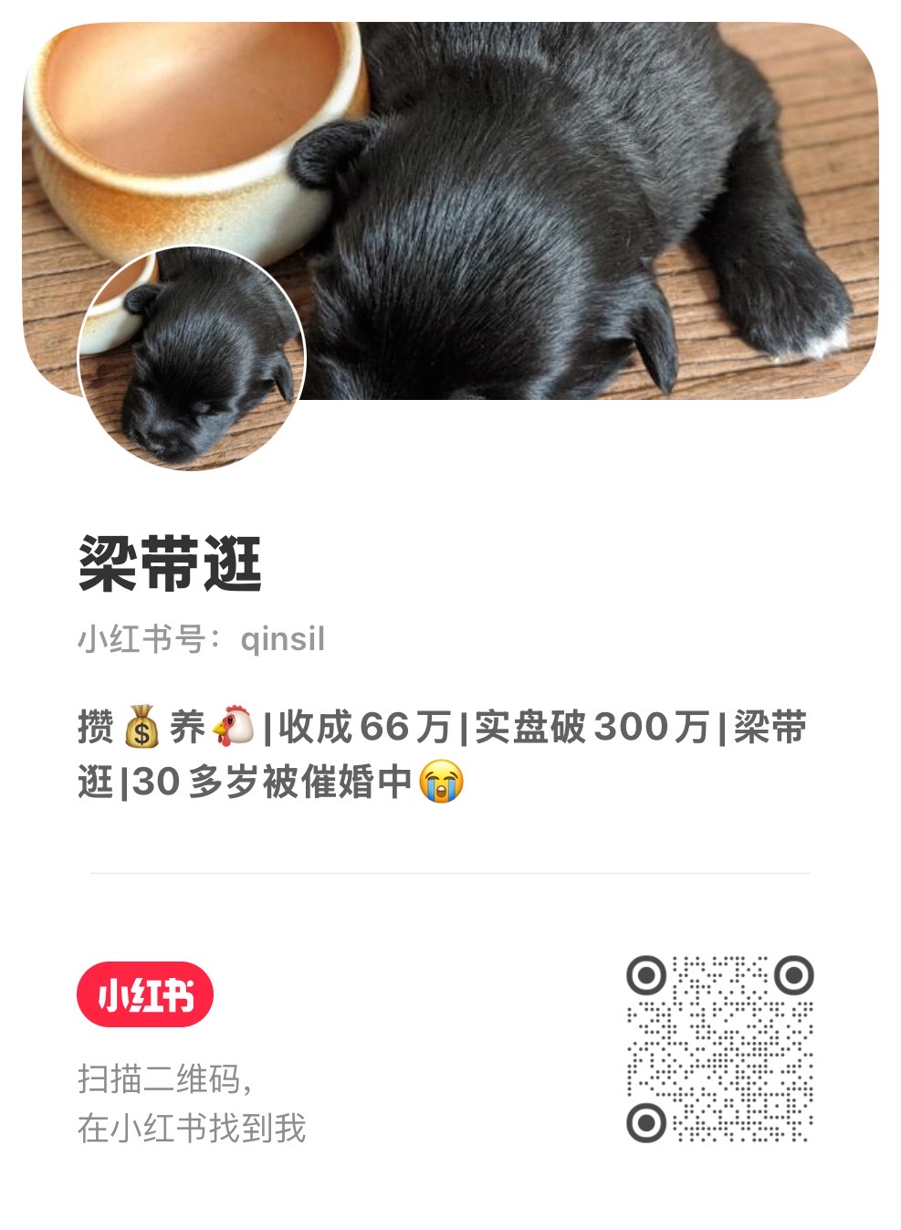 小红书 二维码